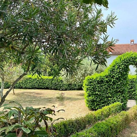 Valica Gardens Villa Savudrija Exterior photo